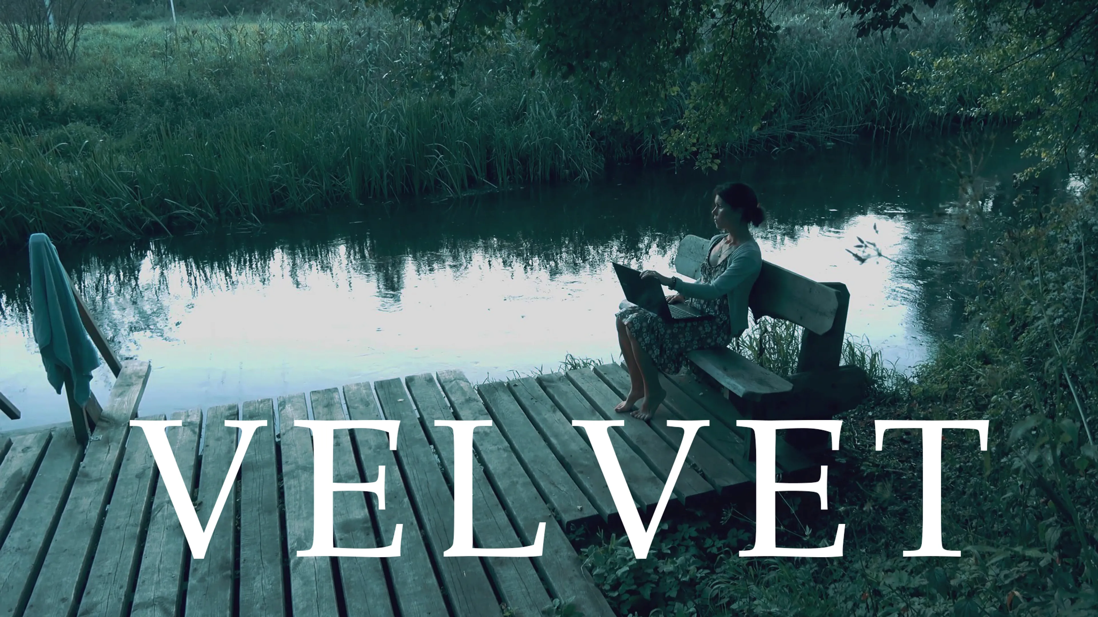 Velvet poster